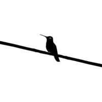 Perched Hummingbird Silhouette, can use Art Illustration, Website, Logo Gram, Pictogram or Graphic Design Element. Vector Illustration