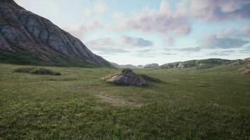 un' bellissimo montagna paesaggio con un' verde campo nel il primo piano video