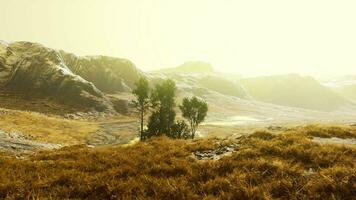 une paisible paysage avec des arbres et montagnes dans le distance video