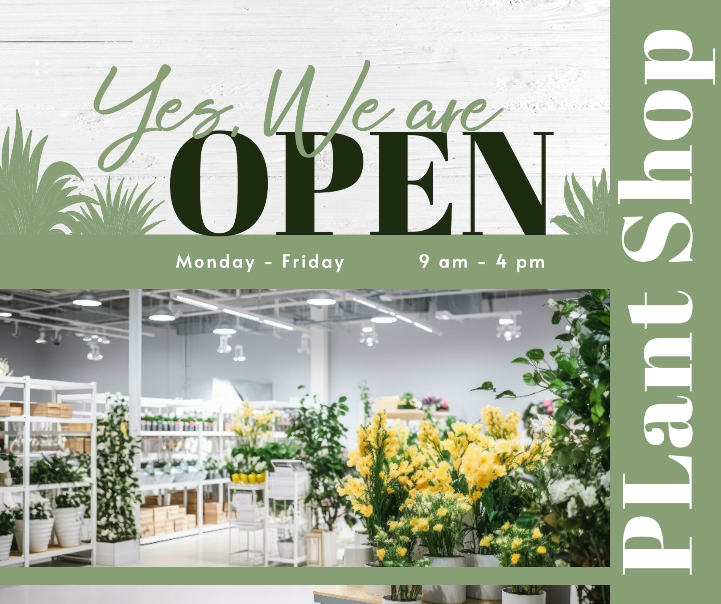 Plant Shop Promotion Post Set
