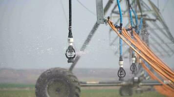 a vertical shot of a irrigation system with a watering can video