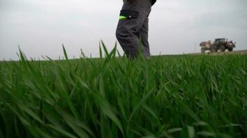 un joven hombre en un verde campo video