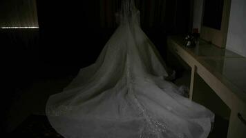 schön Braut mit Hochzeit Kleid video