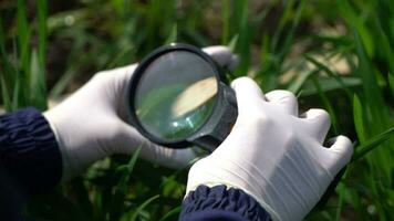 vergrootglas in de hand video