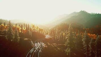 A serene and scenic road winding through a picturesque forest at sunset video