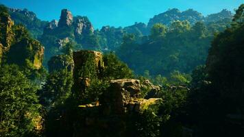 A view of a mountain range with trees in the foreground video