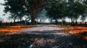 A serene country road lined with trees and a rustic fence in the distance video