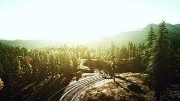 A serene and scenic road winding through a picturesque forest at sunset video