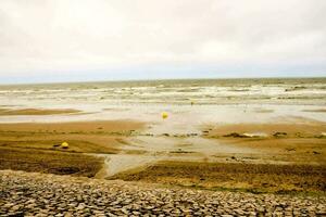 a sandy beach photo