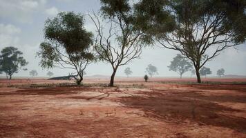 ein szenisch Landschaft mit rot Schmutz Feld und Bäume im das Entfernung video