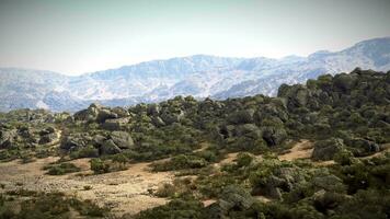 A scenic mountain range with towering trees in the foreground video