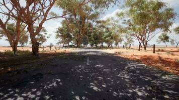 A wavy asphalt road in a hilly landscape video