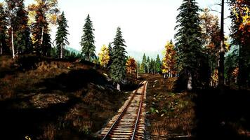 A captivating sunset over a railroad track cutting through a serene forest video