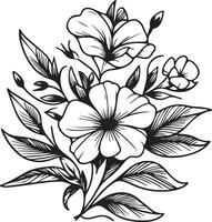 Vector sketch of periwinkle flowers. Vector illustration of a Beautiful Catharanthus flower with a bouquet of vinca flowers and leaves. vintage floral vector illustration, detailed flower coloring