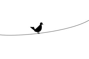 illustration of silhouette bird perching on wire no people. black and white abstract white background background desing element banner backdrop website. photo