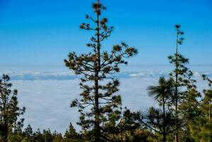 a view of the clouds from the top of a mountain photo