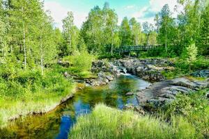 a small stream runs through a forest and rocks photo