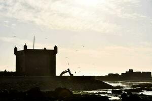 a tower is seen on the shore photo