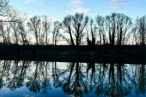 trees are reflected in the water of a river photo