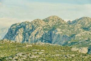 el montañas son cubierto en verde vegetación foto