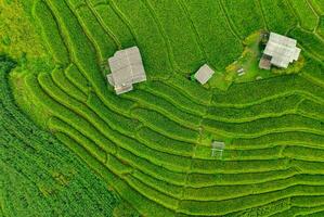 Landscape of green rice terraces amidst mountain agriculture. Travel destinations in Chiangmai, Thailand. Terraced rice fields. Traditional farming. Asian food. Thailand tourism. Nature landscape. photo