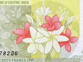 flores desde francés Pacífico territorios dinero foto