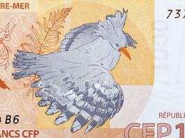 Bird from French Pacific Territories from money photo