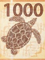 Tortoise from French Pacific Territories money photo