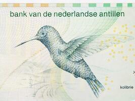 Kolibrie from Netherlands Antillean money photo