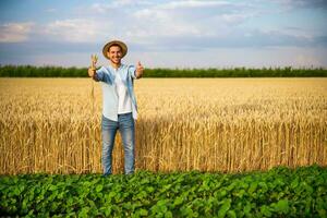 Happy farmer showing thumbs up while standing in his growing wheat and soybean field photo