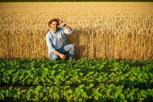 Happy farmer enjoys in his growing wheat and soybean field photo