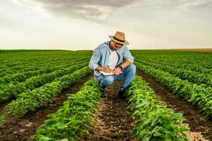 Farmer writing notes while spending time in his growing soybean field photo