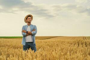 Farmer is standing in his growing wheat field photo