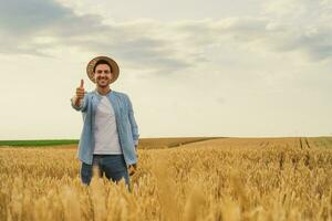 Happy farmer showing thumb up while standing in his growing wheat field photo