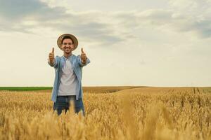 Happy farmer showing thumb up while standing in his growing wheat field photo