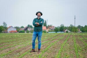 Happy farmer is standing in his growing corn field photo