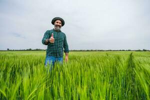 Happy farmer showing thumb up while standing in his growing wheat field photo