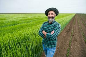 Happy farmer is standing beside  his growing wheat field photo