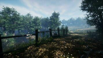 A fenced-in area with trees in the background video