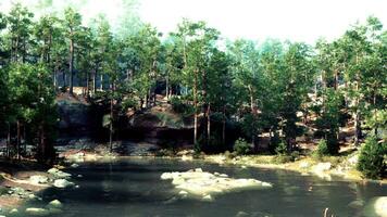 ein Fluss umgeben durch Bäume und Felsen video