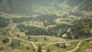 A scenic mountain road winding through breathtaking landscapes video