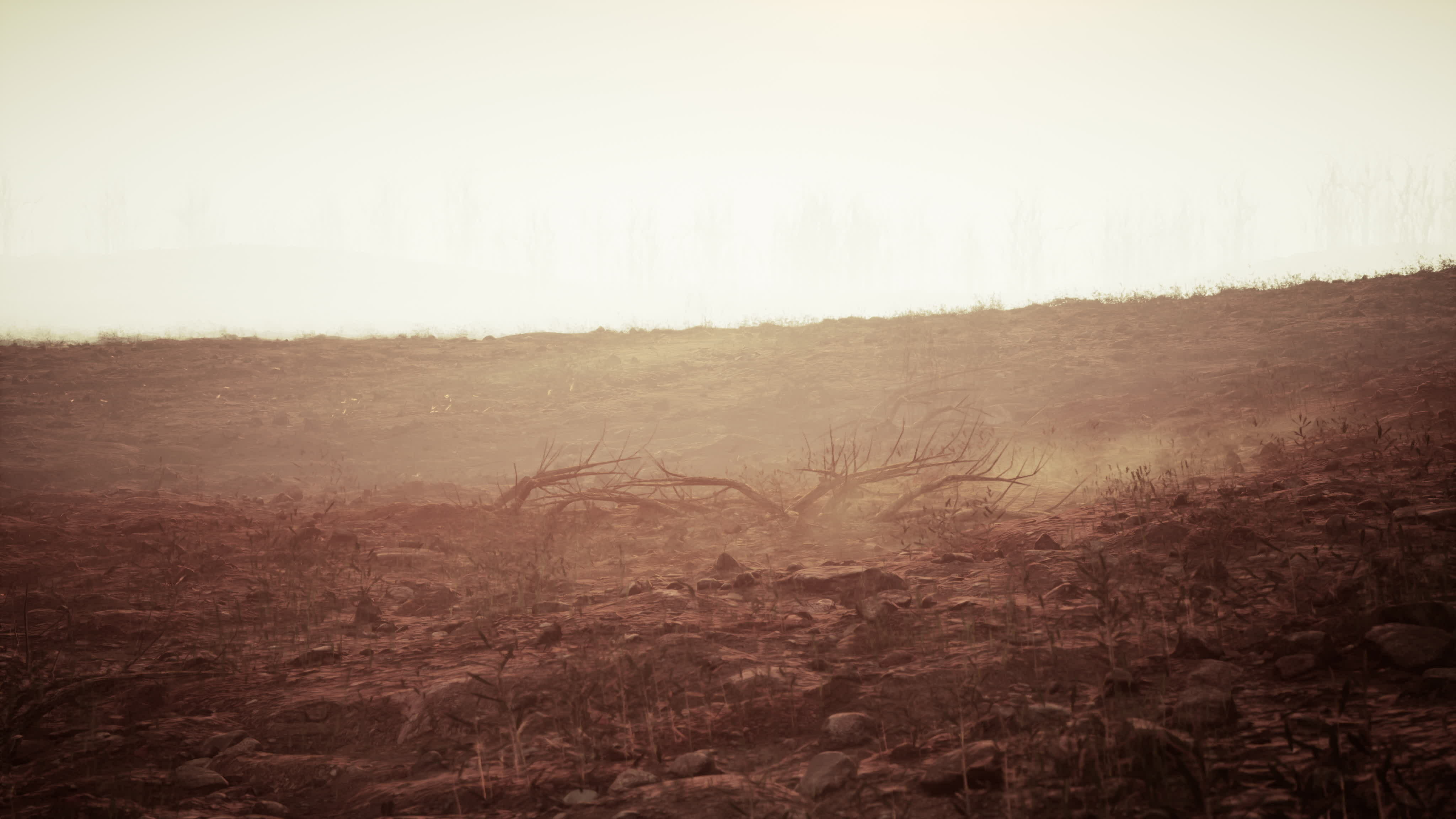 camowabb desert sand black dust