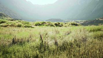 amazing shot of a rocky landscape partially covered with grass in a fog video