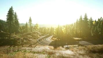 An empty road winding through a serene forest at sunset video