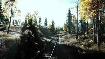 un escénico tren pista corriendo mediante un vibrante bosque a puesta de sol video