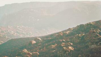 fascinant photographier de une rocheux paysage avec herbe dans le brouillard video