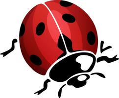 Single flat style red ladybug illustration side view isolated on white background vector