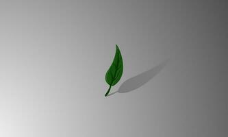 Simple vector of leaves with shadows on a white isolated background