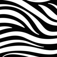 Black and white zebra pattern background vector