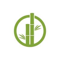bambú árbol logo vector